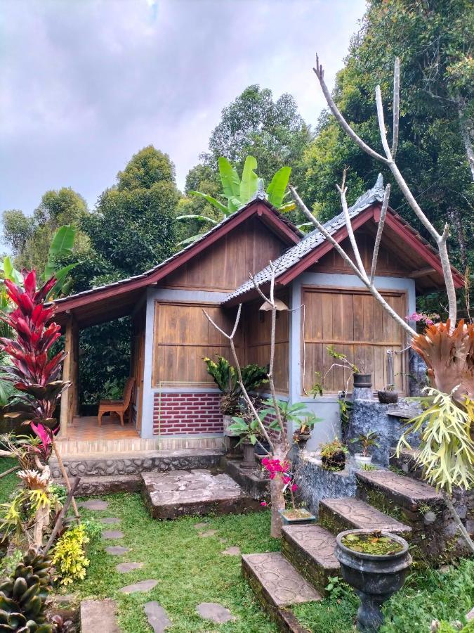 Friendly Homestay Lemukih Singaraja Dış mekan fotoğraf