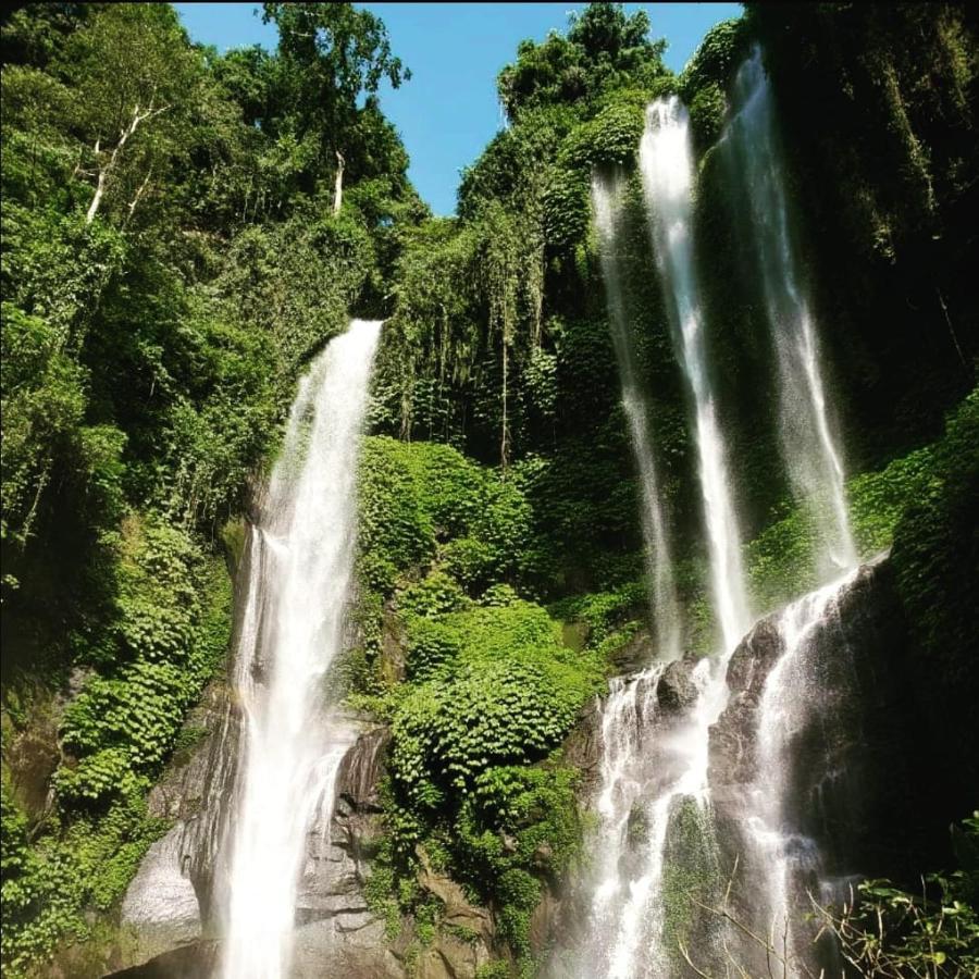 Friendly Homestay Lemukih Singaraja Dış mekan fotoğraf