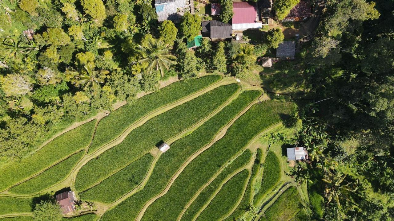 Friendly Homestay Lemukih Singaraja Dış mekan fotoğraf