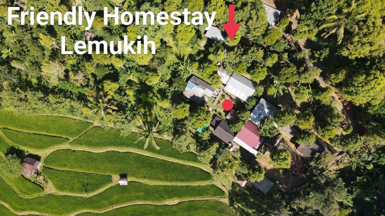 Friendly Homestay Lemukih Singaraja Dış mekan fotoğraf
