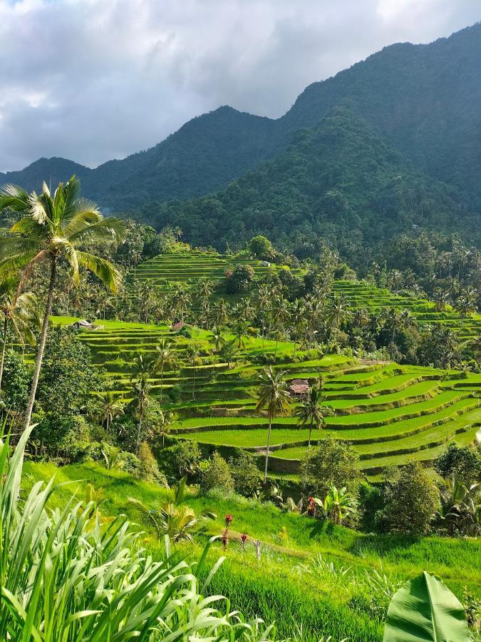 Friendly Homestay Lemukih Singaraja Dış mekan fotoğraf