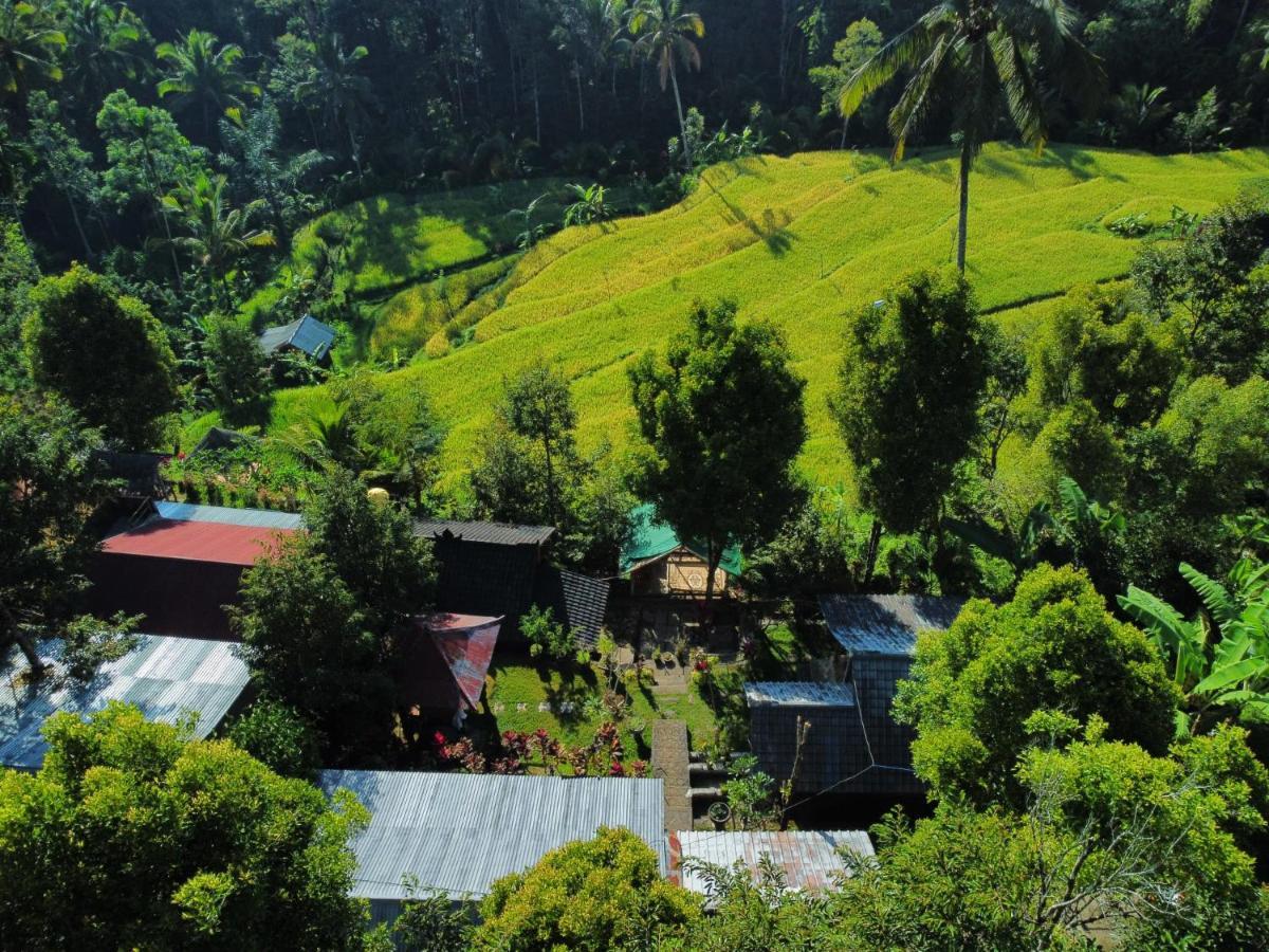Friendly Homestay Lemukih Singaraja Dış mekan fotoğraf